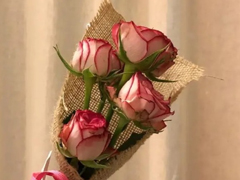 七夕微信示爱表白密码 情人节微信翻译的表白情话