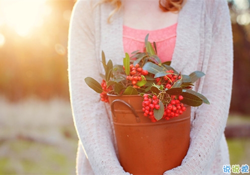 姑娘,我有15句悄悄话说给你听。12