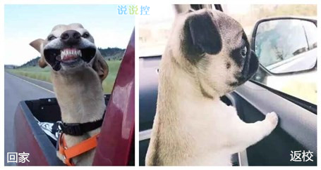 带图搞笑说说2 带图搞笑说说2