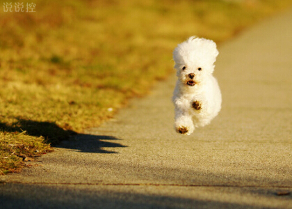 超拽空间说说带图片7 超拽空间说说带图片7