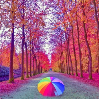 好看的说说配图3 好看的说说配图3