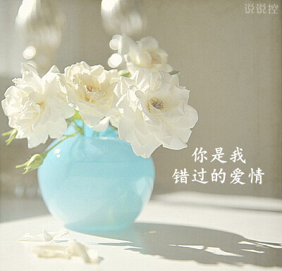 爱情说说大全带图片7 爱情说说大全带图片7