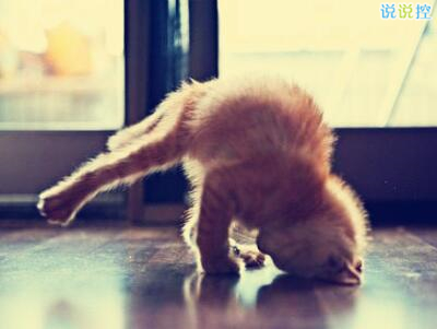 哲理英文说说带图片，哲理英文句子带翻译1