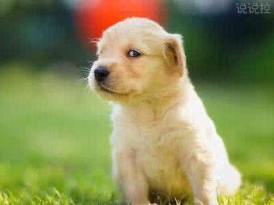 逗比的说说带图片，逗比说说配图4