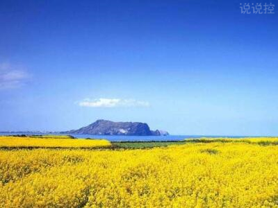 2018经典句子带图片，经典句子配图1