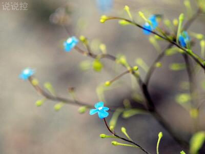 2018经典句子带图片，经典句子配图5