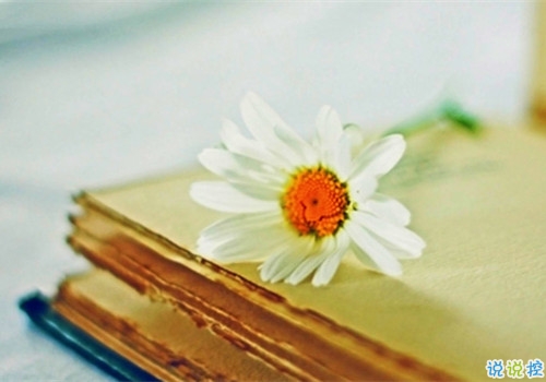 姑娘,我有15句悄悄话说给你听。3