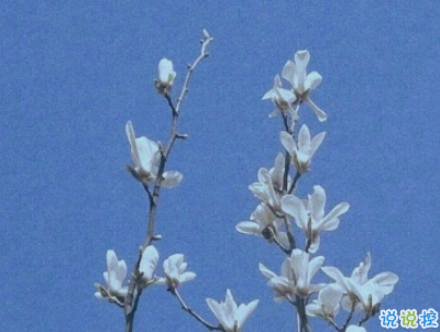 适合假期发的日常句子带图片 2019暑假放假的个性说说短语3