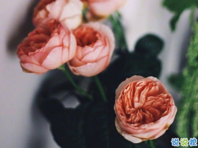 2019十一月你好微博说说配图 元气满满的句子阳光励志9