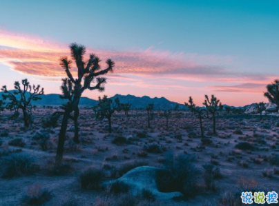 2019十一月你好微博说说配图 元气满满的句子阳光励志8