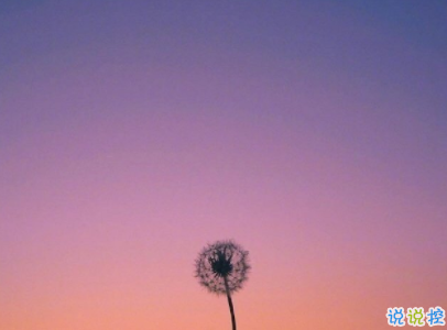 2019十一月你好微博说说配图 元气满满的句子阳光励志10