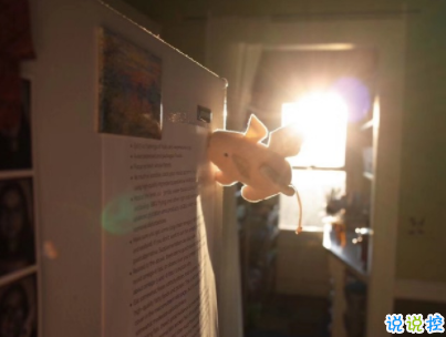 抖音沙雕语录带图片 搞笑心灵毒鸡汤配图4