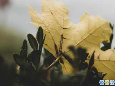 幽默风趣的早安心语带图片 开心一笑早安句子6