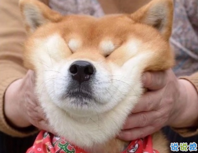 朋友圈沙雕文案2020 超级皮笑死人的说说1