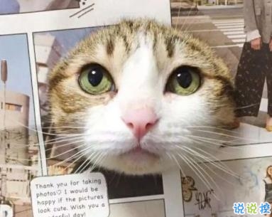 快手搞笑有趣句子合集 别跟我谈感情多伤钱啊1