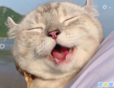 笑到抽筋的皮句子 让人开心的幽默句子2