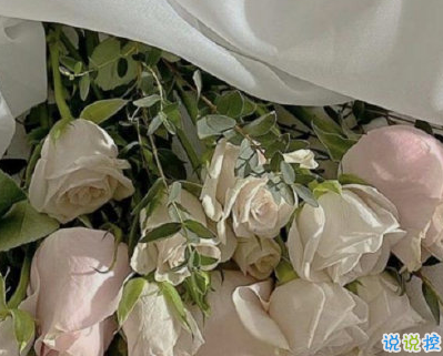 很现实的人生感悟精辟 让人清醒的现实句子2