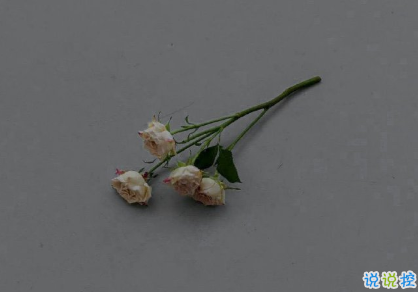 独一无二的朋友圈说说 很少见特别的句子1