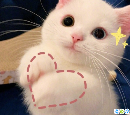 逗人开心又撩人的搞笑说说 今天淋雨了真担心我会可爱到发芽1