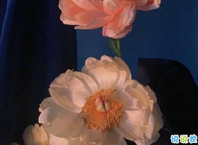 2020经典个性哲理简短走心文案 后来你的笑容也变得模糊了6