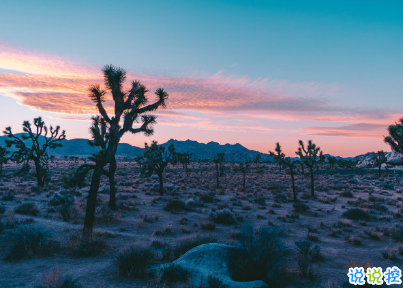 2020经典个性哲理简短走心文案 后来你的笑容也变得模糊了12