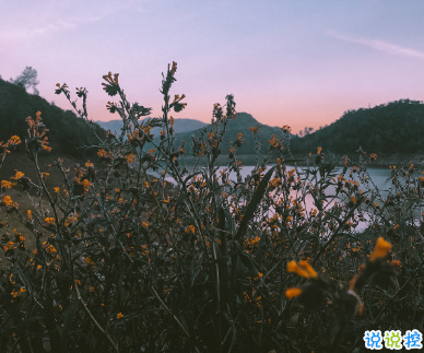 2020经典个性哲理简短走心文案 后来你的笑容也变得模糊了14