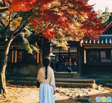 最新秋季唯美诗意文艺个性说说 可以去追逐星星但做自己的太阳 1