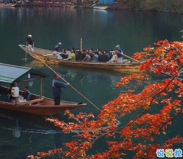 最新秋季唯美诗意文艺个性说说 可以去追逐星星但做自己的太阳 2