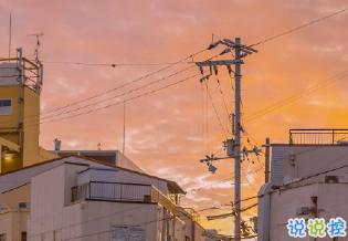 备忘录那些经典内涵宝藏句子 披荆斩棘丢失怒马鲜衣1