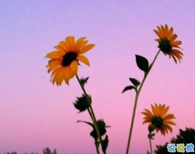 好天气好风景好心情说说 快乐发圈秒赞文案1