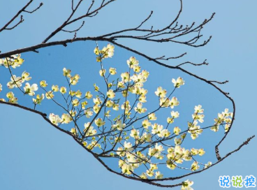 一些特别戳心窝的句子 想陪你看月落重生灯再红7