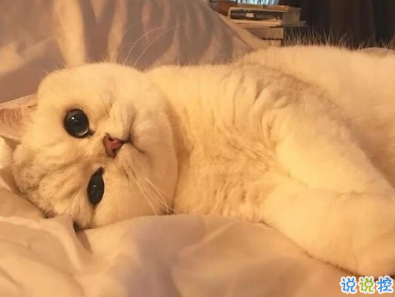 一个人的时候心情说说 难过就是虽然很难但总会过去1