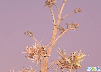 2020年只剩100天朋友圈语录 心情感言伤感说说3