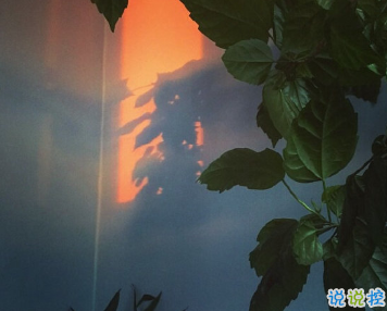 30句总能惊艳到你的句子 从人群中仓皇逃走1