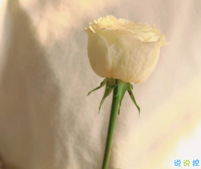 中秋和国庆在一起的文案 龙腾盛世月满乾坤1