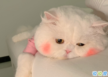 生日快乐有趣的祝福文案 要不动声色的做个大人啦2