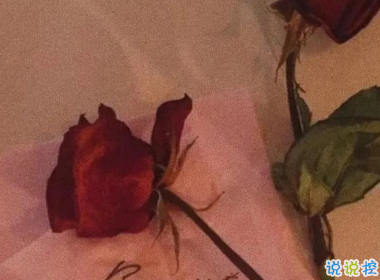 让人一眼就点赞的文案 求之不得往往不求而得2