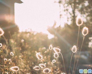 30句很走心的干净短句早安励志 要想有所得就要有所戒1