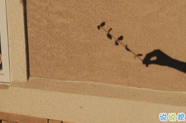 心情低落时可以看的句子 不要去反复思考同一个问题3