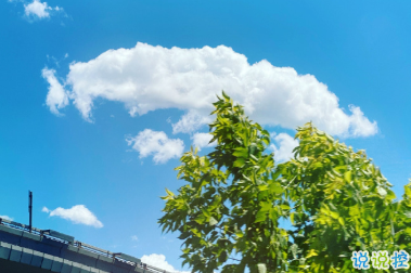 心情低落时可以看的句子 不要去反复思考同一个问题7