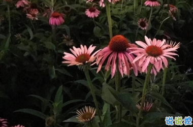 心情低落时可以看的句子 不要去反复思考同一个问题11