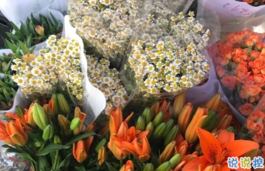 心情低落时可以看的句子 不要去反复思考同一个问题12