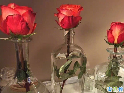 毕业季可作毕业赠言文案 希望你好平安最好1