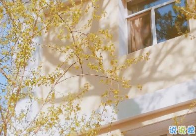 十分暖心的早安祝福说说 2021早安最句子2