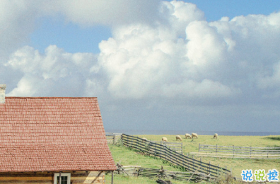 秋天第一个柚子文案 有一起剥柚子人2