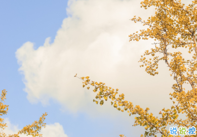 2021谐音梗的甜甜沙雕文案 具有反差的朋友圈文案1