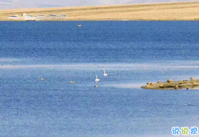 微博收集的最新发朋友圈的憨憨句子 你是上天派来的猪1