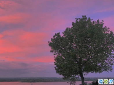 2020霜降早安个性祝福语录 隆下一场好运霜2