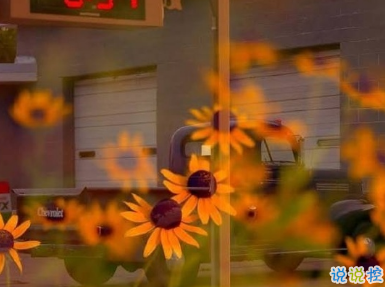 打工人有趣的早安问候文案 早安打工人2