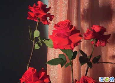 一看就心动的抖音文案 最火抖音走心文案2